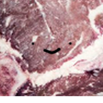 The Meat Society