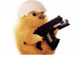 THE CHICKEN"S