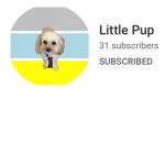 Little pup yt