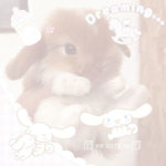 -Angelpaws-