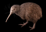 A British Armu
