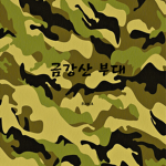 금강산부대