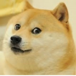 Doges shall Unite!