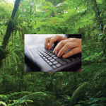 Club of the Typing Jungle
