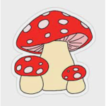 Indie Mushrooms247