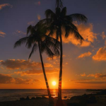 .+ paradise +.