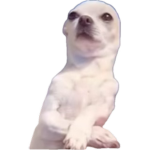 тє∂∂увєαяѕ