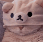 •Kitty Squad Group•