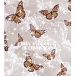 Our beautiful butterflies