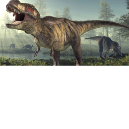 dinosaurs 🦖