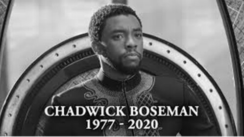 R.I.P black panther... 😭😭😭