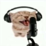 unga bunga oonga