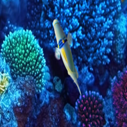 Fish Aquarium Top Right Roblox decal