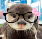 MunnyRoblox