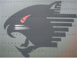 Apache Air Assault