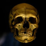 SkullTheatre®