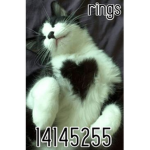 rings . . .