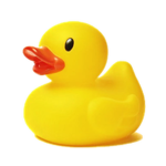 Pond Inc.