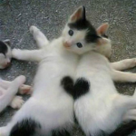 - Cati Aesthetics -