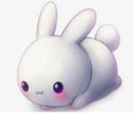 The cute bunnie squad