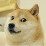 The official D0GE Group for awesome doges