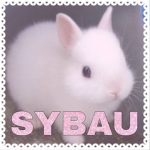 -bwabypaws-
