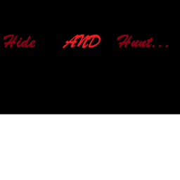 Hide and Hunt ( Vex Raid Game )
