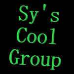 Sy's Nice Group