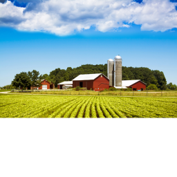 Farm Life