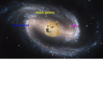 Doggo’s UNIVERSE