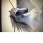 UNICORN sqaaaaaaaaaad ####