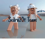 Sedra20t Team