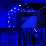 -The blue$-