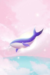 Whale.Studio