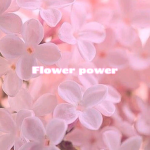 Flower-power.