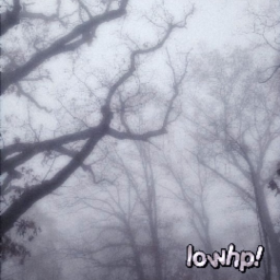 lowhp venue