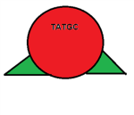 TATGC