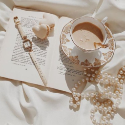 ☽☾
