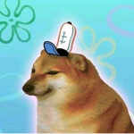 DIEGOPRO6566