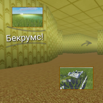 бекрумс