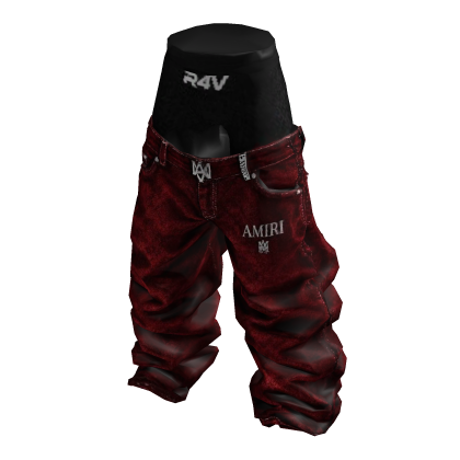 R4V AMIRI 3
