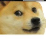 #Doge Army :D