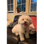 PINKYxPRETTY