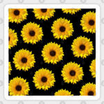 _Sunflower Squad_