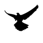 Bald Eagle ® - Executive Management