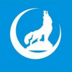 Turkish Diplomacy Community