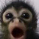 roblox scary baboons