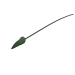 Blade Of Grass