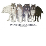 Direwolves of House Stark Family