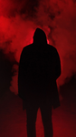 The red shadows£